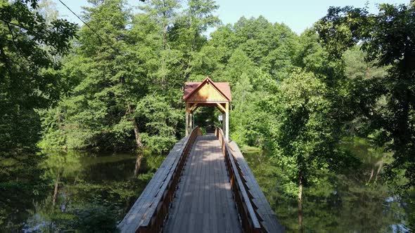 Flying Over the River and the Wooden Bridge in the Pine Forest
