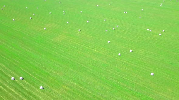 Bales of hay in white plastic packaging are stacked in a field. flight of drone.