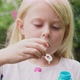 Girl blowing bubbles - VideoHive Item for Sale
