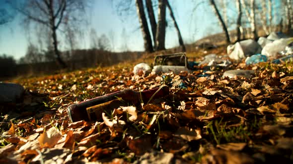 Garbage Scattered on Fallen Leaves