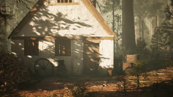 Old Wooden House in the Autumn Forest