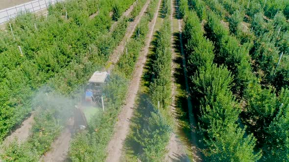 View From Above Fan Sprayer Applying Chemicals Apple Orchard