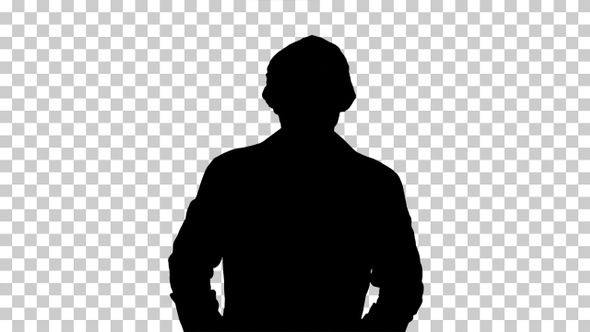 Silhouette Portrait of medical doctor, Alpha Channel alt