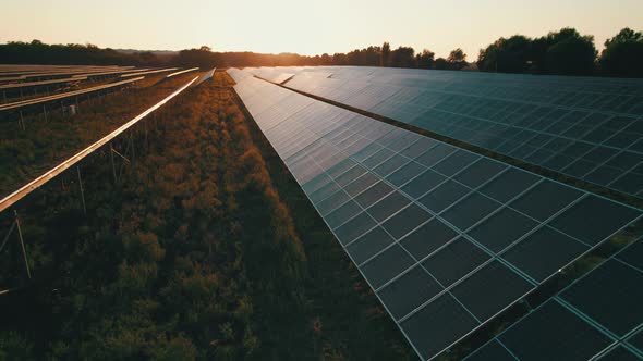 Aerial View of Solar Farm on the Green Field at Sunset Time Solar Panels in Row