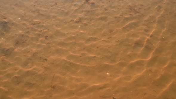 Sea Sand Bottom Through the Transparent Seawater