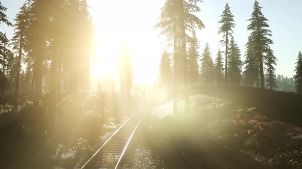 Flight Over A Railway Surrounded By Forest with Sunbeams alt