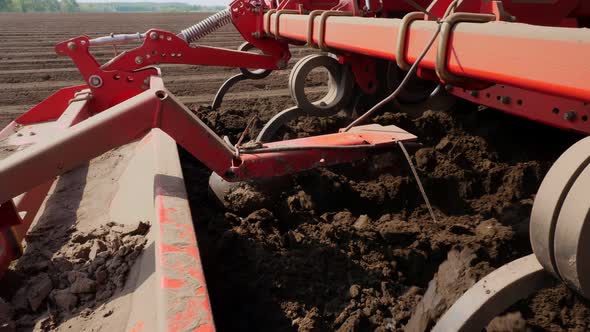 Close-up, Cultivator Automatically Plants Potatoes in Straight Soil Rows in Farm Field, Adds Mineral