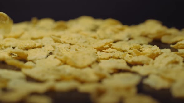 Falling Corn Flakes on a Black Background