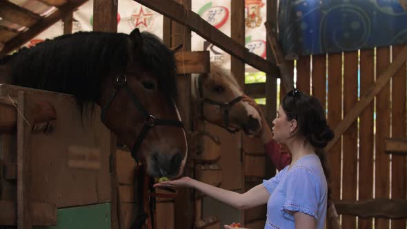 Two Young Women Feeding Horses and Petting Them