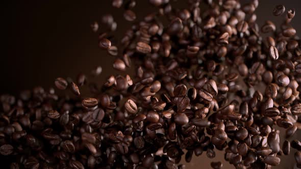 Super Slow Motion Shot of Exploding Premium Coffee Beans on Brown Gradient Background at 1000Fps