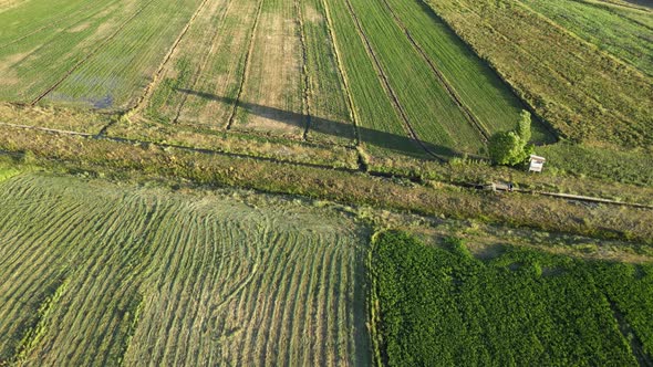 aerial view of green fields