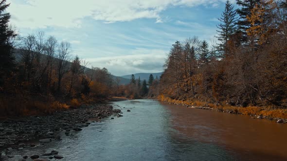 Aerial Cinematic Footage From Drone Flying Over Mountain River Striy in Carpathians Mountains