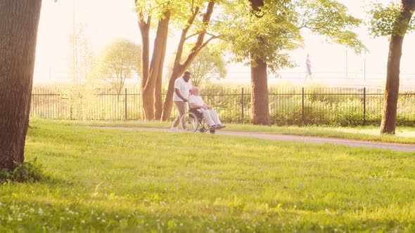 African-American caregiver and old disabled man in a wheelchair. Nurse and patient.