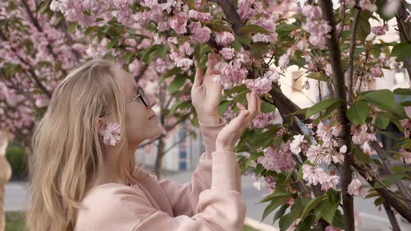 Woman Enjoys Sakura Blossoms