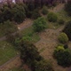 Aerial View From Above of Part of Brompton Cemetery with Green Grass and Trees - VideoHive Item for Sale