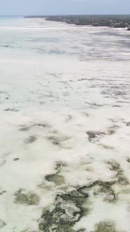 Vertical Video of Low Tide in the Ocean Near the Coast of Zanzibar Tanzania