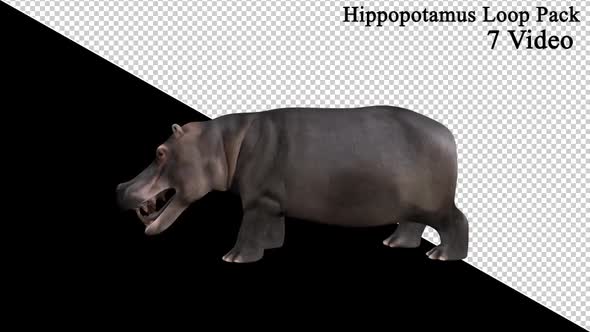 Hippopotamus Loop Pack