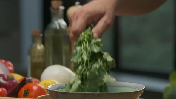 Professional chef washes cilantro leaves. Slow motion