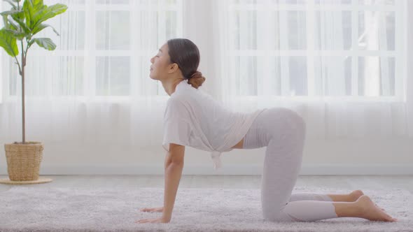 Calm of Athletic Asian woman in sportwear practice yoga Cat Cow pose to breathing and meditation