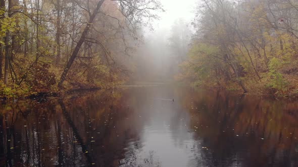 Fog Over the Lake in the Autumn Park.