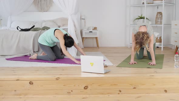 Female Instructor Practicing Yoga with Young Lady Looking at Laptop