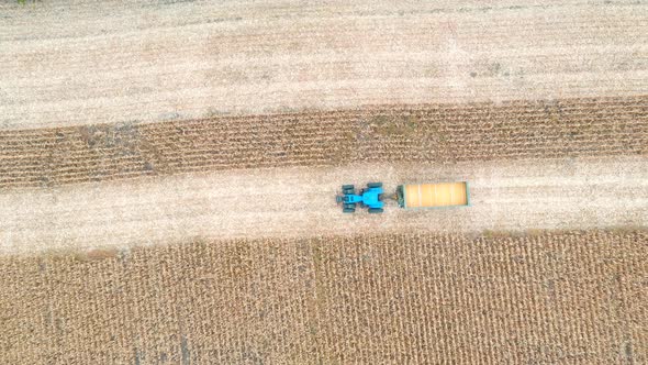 Aerial Shot of Tractor Transporting Corn Cargo Along Field