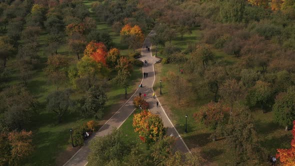 Autumn landscape in Loshitsky Park in Minsk. Belarus.Golden autumn