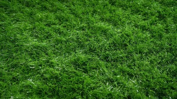 Artificial Grass On Sports Field Moving Shot