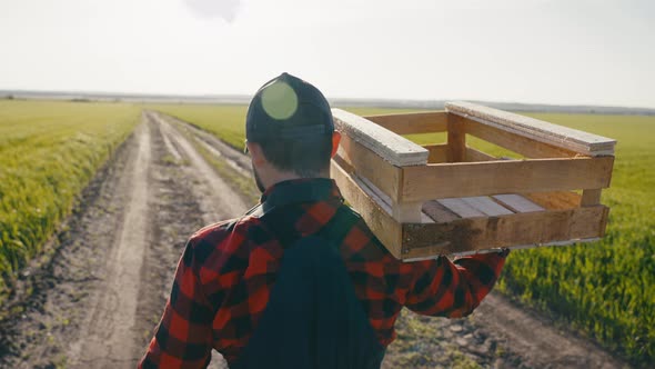 Male Farmer Carrying a Wooden Crate in the Sunny Field