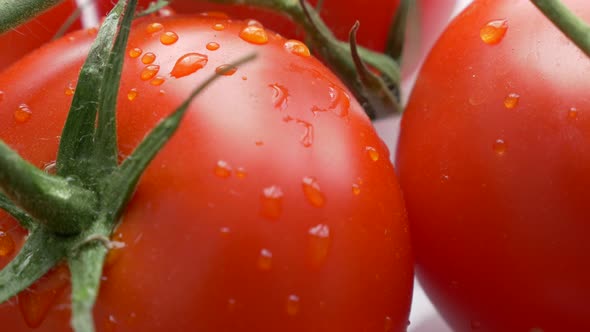 Red fresh organic tomato cluster and droplets of water 4K 2160p 30fps UltraHD footage - Slow tilt on