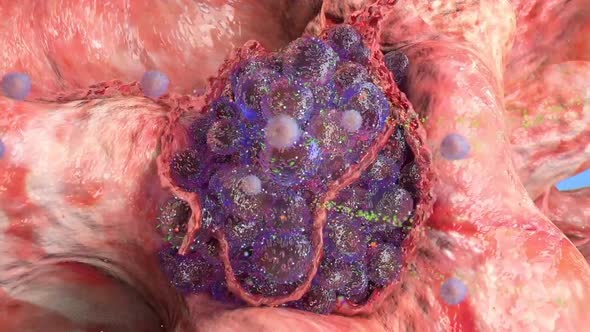 Division and growth of cancerous cells