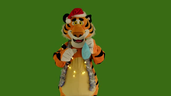 Tiger in Red Christmas Hat Tries to Puts Protective Medical Mask on His Nose
