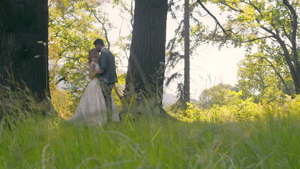 Young Couple Who Met in the Woods Near the Trees on a Background of Sunlight. The Newlyweds Gently