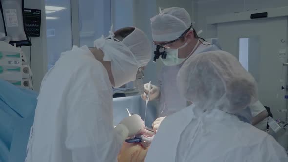 Medical Staff During the Operation