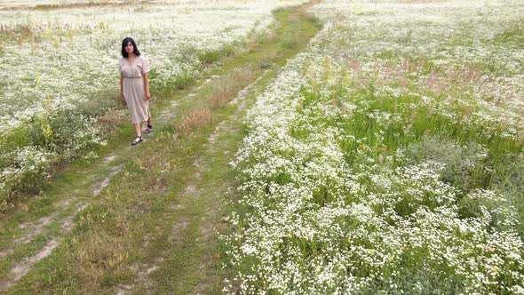 Drone Aerial View of Woman in Dress Walking in Flower Blooming Meadow