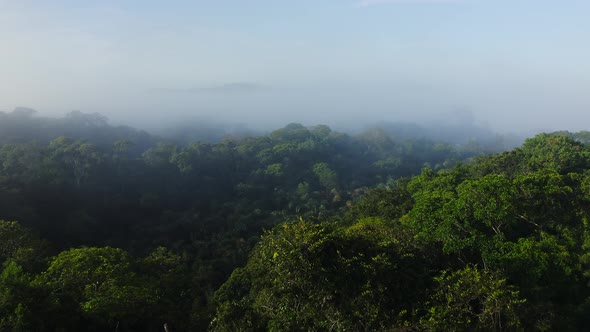 Aerial Drone View of Rainforest Canopy Above Treetops in Trees, Costa Rica Misty Tropical Jungle Sce