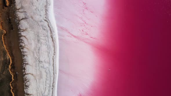 Salt Pink Lake of Sivash Aerial Landscape Ukraine