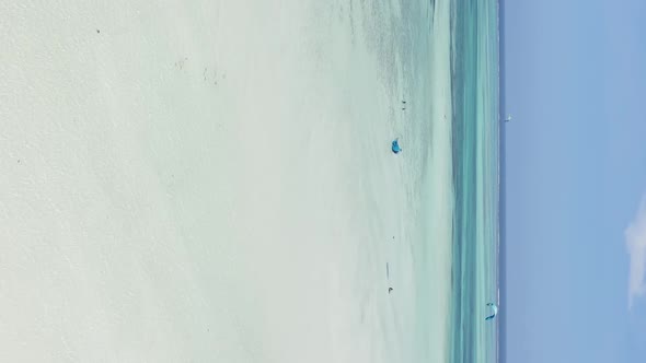 Zanzibar Tanzania  Vertical Video of Low Tide in the Ocean Near the Coast Slow Motion