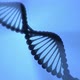 DNA Helix Turning Around on Blue Background - VideoHive Item for Sale