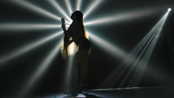 Bottom View is Silhouette of Long Legged Female Vocalist in Short Shiny Dress Performing on Stage