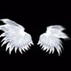Wings Looped - VideoHive Item for Sale