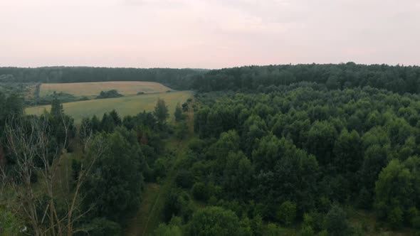 View of forest and field in Kolbudy, Kaszubia, pomorskie, Poland