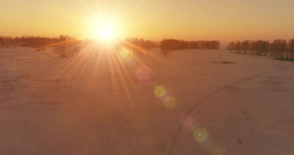 Aerial Drone View of Cold Winter Landscape with Arctic Field Trees Covered with Frost Snow and