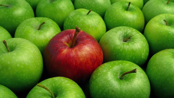 Red Apple In Green Apples - Business Concept