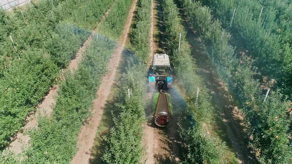 View From Above Fan Sprayer Applying Chemicals Apple Orchard