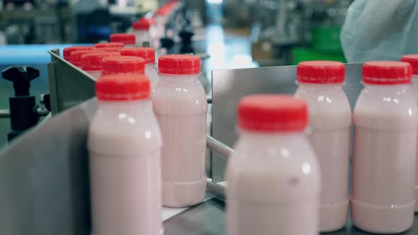 A Worker Takes Yogurt Bottles From a Conveyor