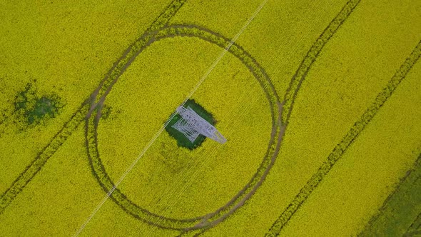 Aerial flyover blooming rapeseed (Brassica Napus) field, flying over lush yellow canola flowers, idy