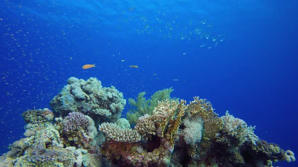 Underwater Blue Water Background