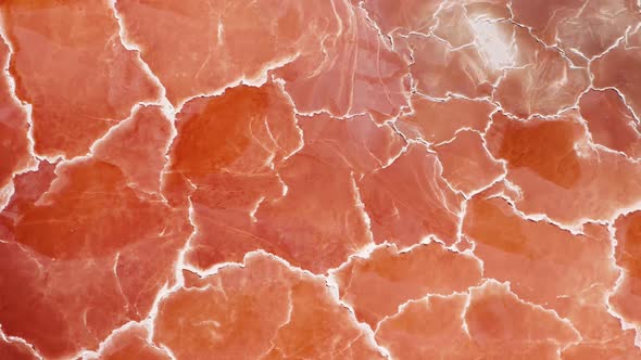 Cinematic Overhead Orange Nature Texture Looks Like Meat or Prosciutto Ham
