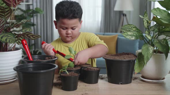 Asian Little Boy Transplanting Plant At Home